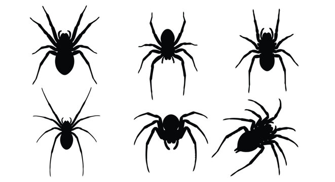 Diverse collection of creepy spider silhouettes offering scary insect designs for Halloween decoration or graphic projects.