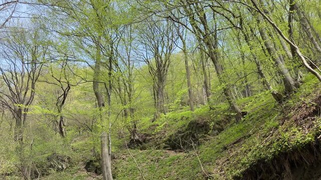 Views from a hike in the Central Balkan mountains in Bulgaria - near the Rose Valley - the spring views are very cool with fast running rivers fed by the melting snow and early tree leaves