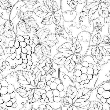 Vine seamless pattern background. Vector illustration