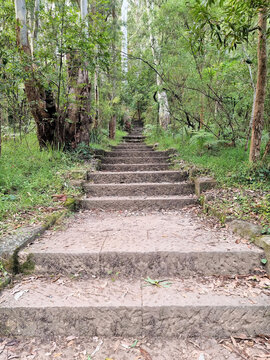 Hornsby Heritage Steps. Dressed sandstone steps from the Great Depression Era in the Australian Bush north of Sydney Australia