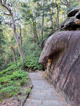 Hornsby Heritage Steps. Dressed sandstone steps from the Great Depression Era in the Australian Bush north of Sydney Australia