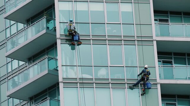 Workers cleaning highrise facade with squeegees. Two workers ascending and sweeping glass tower exterior