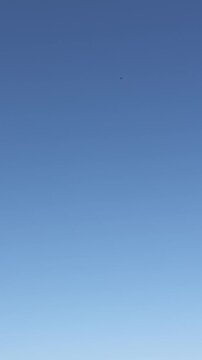 A passenger airplane flying in a clear blue sky. View of the airplane from below showing its underside.