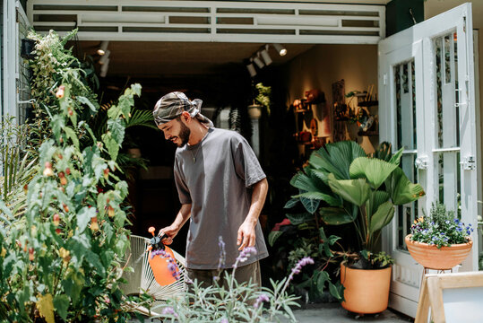 Plant Store" Images  Browse 2,204 Stock Photos, Vectors, and Video | Adobe  Stock