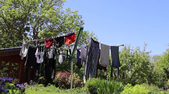 umweltfreundlicher W&auml;schetrockner - W&auml;schespinne im Garten, Nordrhein-Westfalen, Deutschland