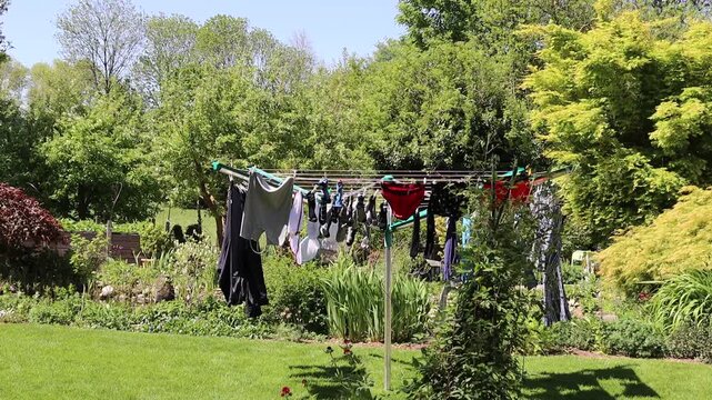 umweltfreundlicher W&auml;schetrockner - W&auml;schespinne im Garten, Nordrhein-Westfalen, Deutschland