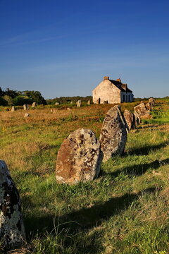 Antike Menhire erstrecken sich in langen Reihen &uuml;ber eine gr&uuml;ne Wiese vor einem einsamen Steinhaus unter strahlend blauem Himmel im warmen Abendlicht der Bretagne.