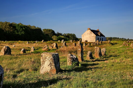 Antike Menhire erstrecken sich in langen Reihen &uuml;ber eine gr&uuml;ne Wiese vor einem einsamen Steinhaus unter strahlend blauem Himmel im warmen Abendlicht der Bretagne.