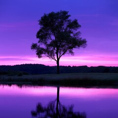 Obraz premium Sunset Sky Shines Over a Tree and Still Water in a Quiet Landscape