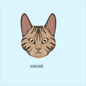 Sokoke Cat Face Cartoon Illustration with Brown Tabby Fur, Large Ears, Green Eyes, and Minimal Light Blue Background