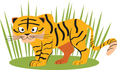 Orange Bengal Tiger Walking © Ibrahim