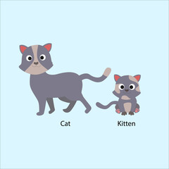 Grey Cat And Kitten © Ibrahim
