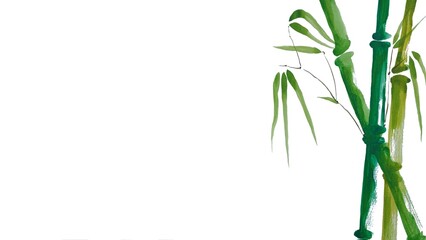 bamboo isolated on white background © Anna_Art