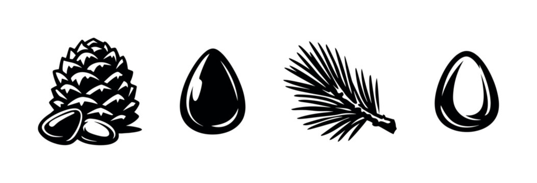 Black and white pine cone and seeds with pine needle illustration set silhouette style