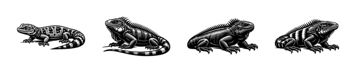 Fototapeta premium Black and white vector illustrations of various iguanas and lizards in silhouette style