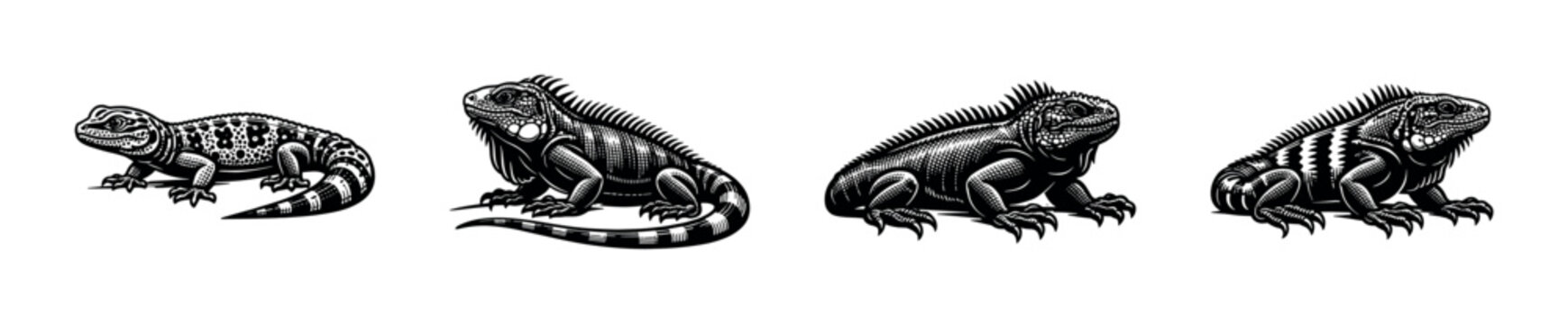 Black and white vector illustrations of various iguanas and lizards in silhouette style