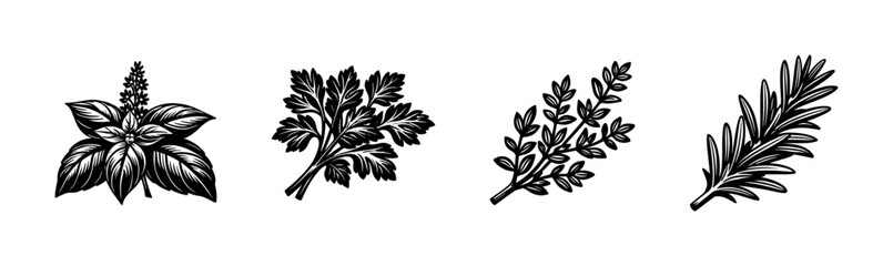 Naklejka premium Herbal illustrations in black and white silhouette style featuring basil rosemary parsley and thyme botanical elements