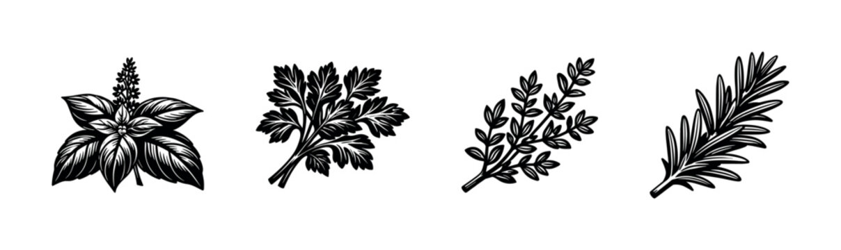 Herbal illustrations in black and white silhouette style featuring basil rosemary parsley and thyme botanical elements