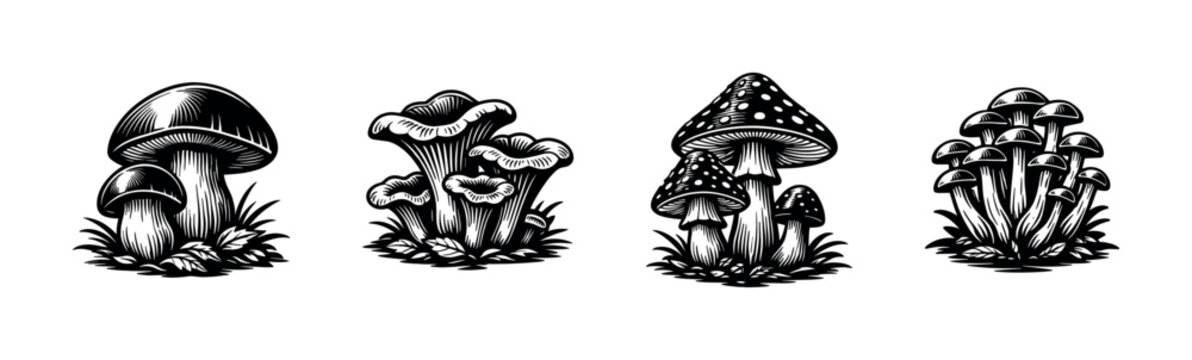 Black and white mushroom illustrations set featuring various fungi silhouettes