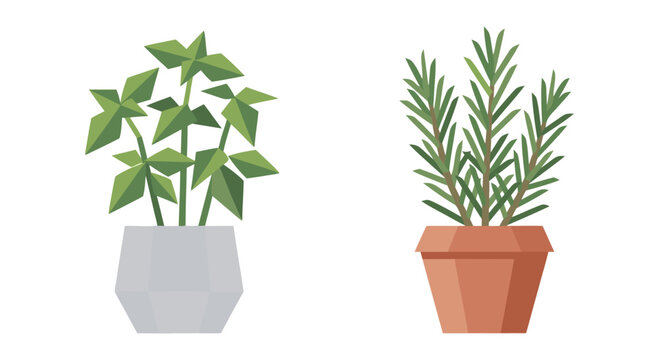 Kitchen herb garden basil rosemary mint thyme pots