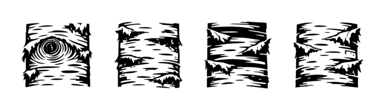 Black and white birch tree trunk illustrations with bark and pine leaves elements