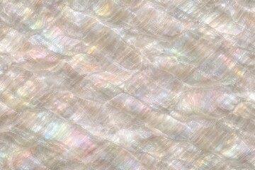 Naklejka premium Mother of Pearl Shell Texture Seamless Pattern. Close-up nacre shell surface detail. Iridescent organic material design. Realistic pearl shell texture background. Detailed glossy macro close-up. 