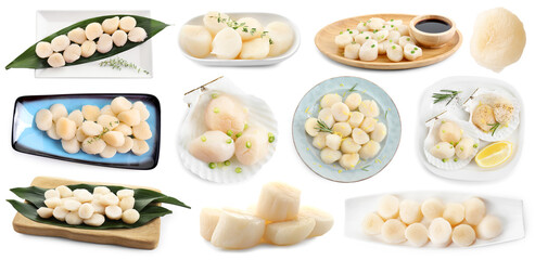 Fresh scallops isolated on white, set. Sea food © New Africa