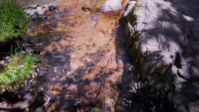 Crystal clear water flowing downstream over mossy rocks in a pristine mountain creek during a sunny day, creating a small cascade amidst the lush green vegetation of a serene forest environment