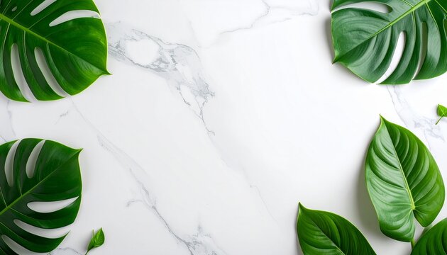 Symmetrical Monstera Leaf Arrangement on White Marble &mdash; Clean Botanical Product Background