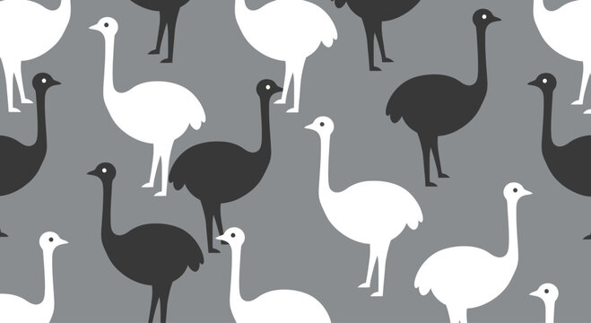 Seamless Pattern of Black and White Ostriches on Gray Background