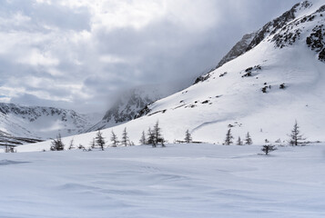 Fototapeta premium Open snowy valley below mountains - Gros Morne, Newfoundland, Canada