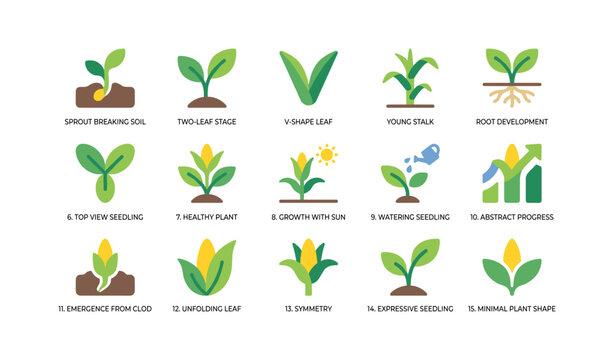 Plant growth icons arranged in rows on white background