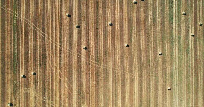 Golden hay bales in the countryside, aerial view