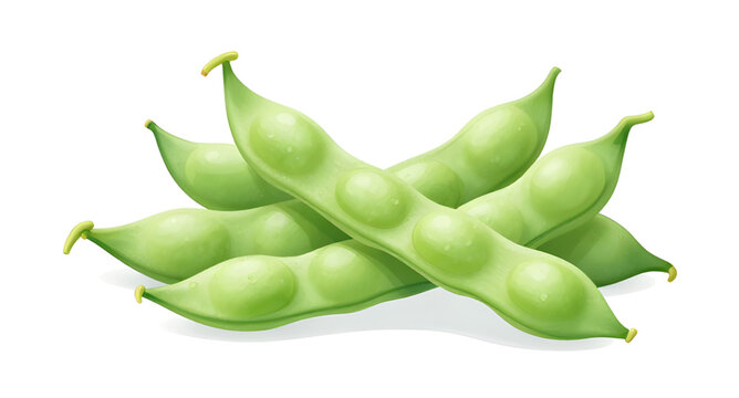 green edamame pods, soybean beans illustration, fresh organic edamame, split open soybean pods, healthy protein snack, asian food ingredient, natural green beans, white background edamame, nutritious 