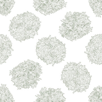 Seamless pattern with hand drawn botanical lichens on white background.