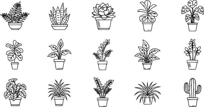 Gardening  Home Decor Line Art Potted Plants Icons - Black and White Houseplants, Succulents  Cactus Glyph Set