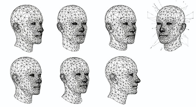 3d wireframe human head models for facial recognition and digital scanning