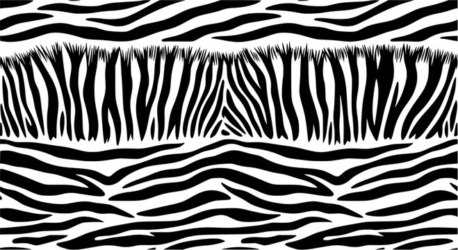Vector illustration of seamless zebra pattern
