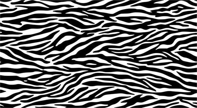Vector illustration of seamless zebra pattern
