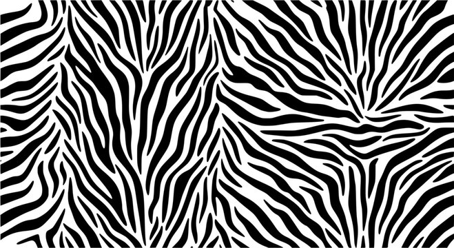 Vector illustration of seamless zebra pattern
