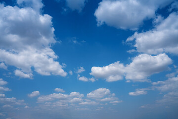 Obraz premium Beautiful bright blue sky with fluffy white cumulus clouds on a sunny day. Natural background for weather, summer, and heaven concepts. High resolution panoramic view with copy space.