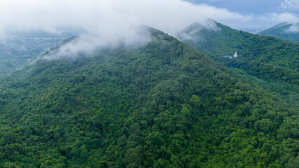 Obraz premium lush green tropical rainforest and mountain peaks covered in beautiful low hanging fog and clouds. Natural landscape, environmental conservation, and wilderness background.