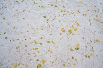Fototapeta premium flat lay view of a white sand beach surface background with scattered small green and yellow leaves. Minimalist natural texture, tropical vacation, and zen garden relaxation concept.