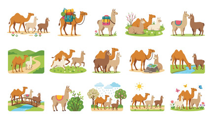 Fototapeta premium A charming collection of illustrations featuring camels and llamas in various natural and pastoral settings, showcasing their interactions and daily life.