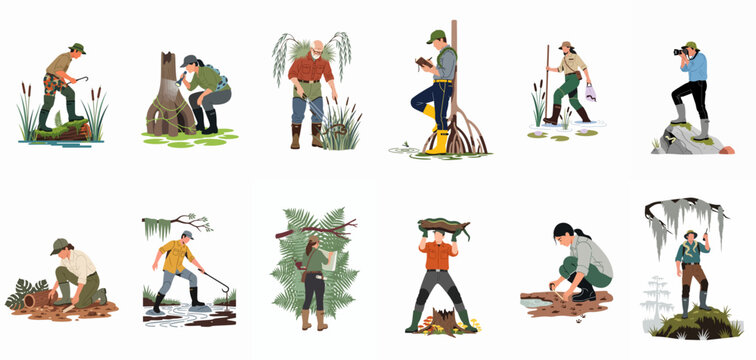 Scientists and environmental researchers exploring wetlands and swamps, conducting field work, biodiversity studies, and ecological monitoring flat vector illustration set.