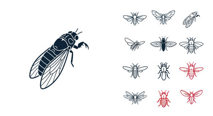 Insect illustration with various fly drawings. © Denso