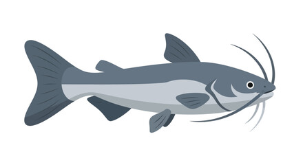 Fototapeta premium Gray Catfish Illustration with Whiskers on White Background, Aquatic Life
