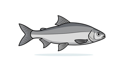Fototapeta premium Silver Fish Illustration