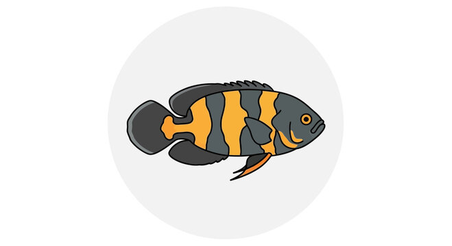 Oscar Fish Illustration - Tropical Aquarium Pet, Orange Striped