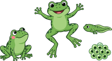 Obraz premium Complete Life Cycle of a Green Frog Featuring Spawn Tadpole and Adult Frogs in Various Poses